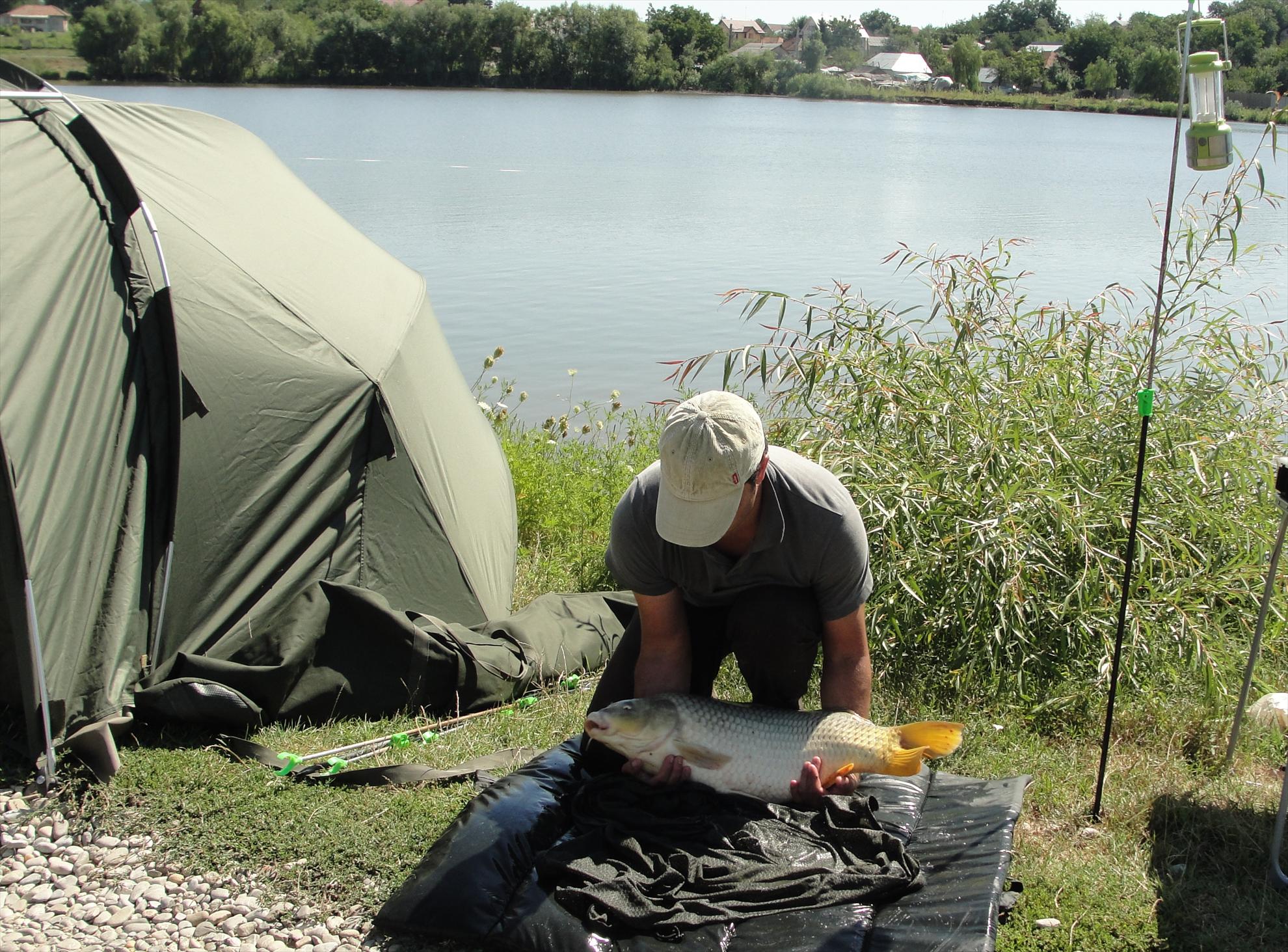 Moara Vlasiei 15.08.2012 - dsc06855.JPG